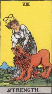 card-8
