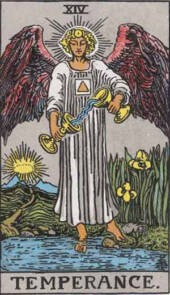 card-9