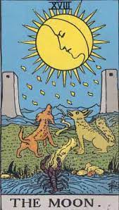 card-11