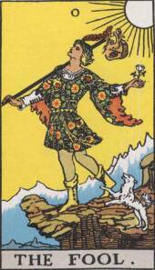 card-13